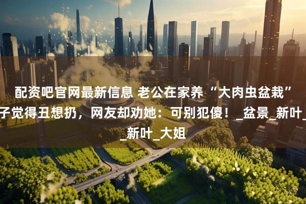 配资吧官网最新信息 老公在家养 “大肉虫盆栽”？女子觉得丑想扔，网友却劝她：可别犯傻！_盆景_新叶_大姐